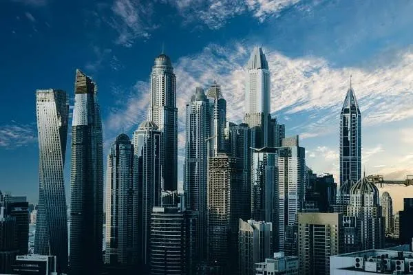 Vista Real Estate